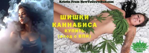 тгк Кукмор