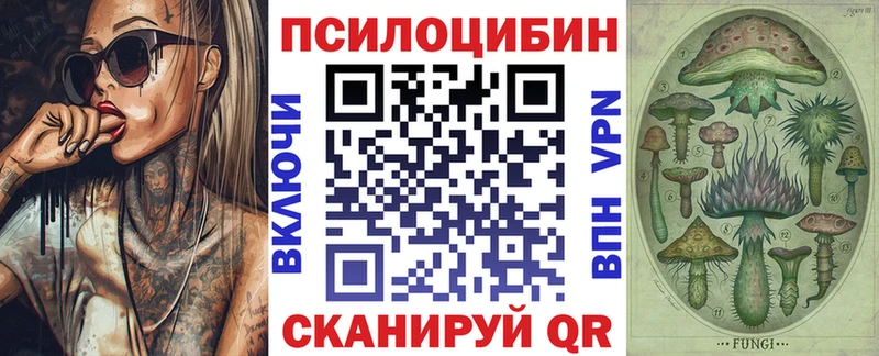 omg ссылки  Медвежьегорск  Галлюциногенные грибы Cubensis 